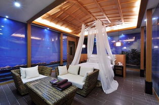 金土逆行上演內(nèi)心的糾結(jié) 12星座8月旅游運(yùn)勢(shì) 上