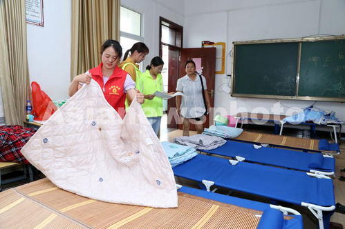 青年志愿者突擊隊為災(zāi)區(qū)服務(wù) 中安在線