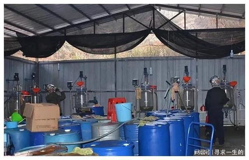 農村夫婦家中有8000萬現金巨款,竟然還住破磚瓦房,真相如何