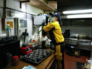 深圳中型餐館 都市美食的縮影